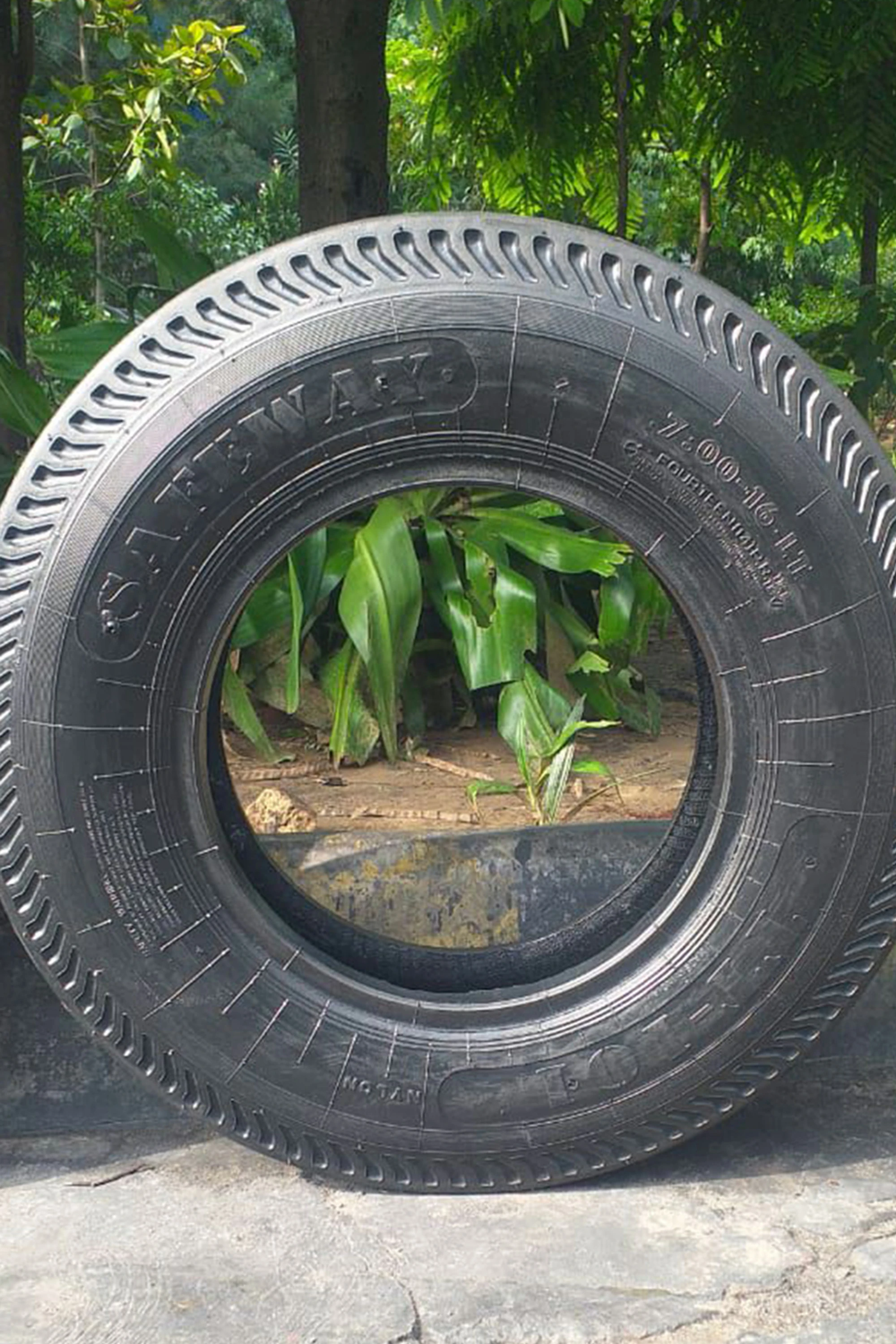 Safeway Tyre